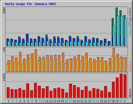 Daily usage for January 2021