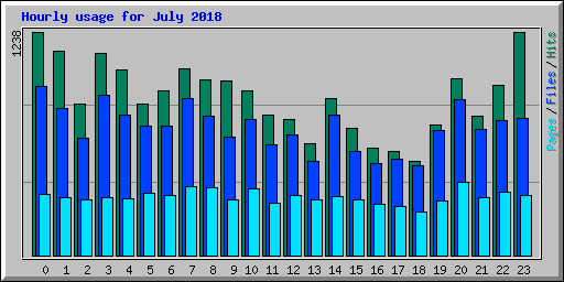 Hourly usage for July 2018