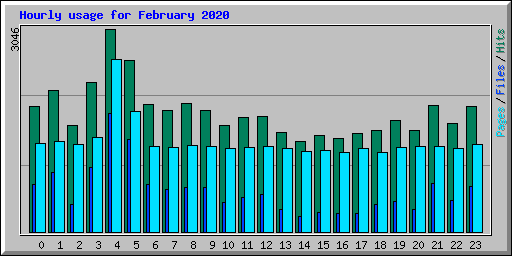 Hourly usage for February 2020