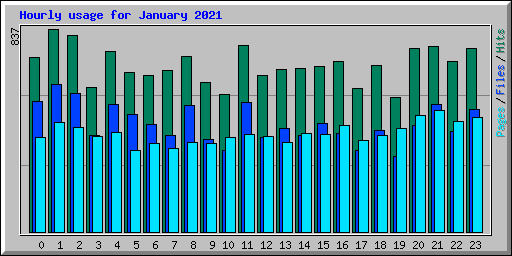 Hourly usage for January 2021