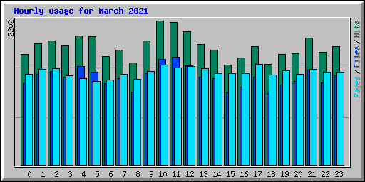 Hourly usage for March 2021